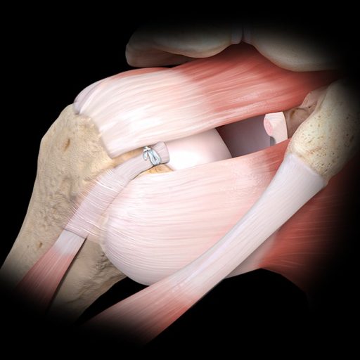 پارس طب مبین